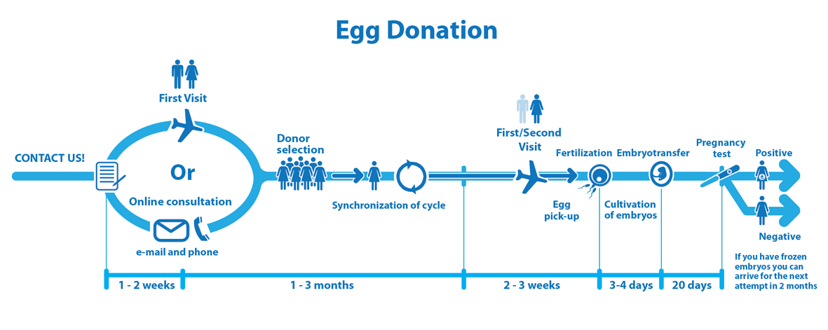 egg-donation-india-treatment-success-rate-and-cost