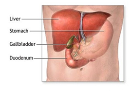 Gall Bladder Removal Surgery India, Gall Bladder Removal India, Gallstones Symptoms India, Gall Bladder India