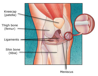 Arthroscopic Procedure, Minimally Invasive Surgical Procedure