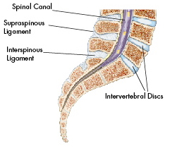 X Stop Spine Surgery,X Stop Spinal Stenosis Surgery India,X Stop India