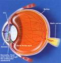 Glaucoma Trabeculectomy Surgery, Glaucoma India