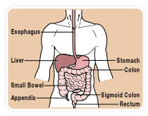 Liver Cirrhosis offers info on Liver Cirrhosis Treatment India,  India Liver Cirrhosis Treatment Hospital India