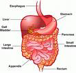 Gastroenterology Surgery In  India, Gastroenterology And Hepatology HospitalsIndia