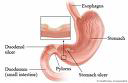Gastroenterology And Hepatology HospitalsIndia