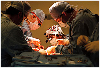 Cholecystectomy Surgery India, Laparoscopic Cholecystectomy India